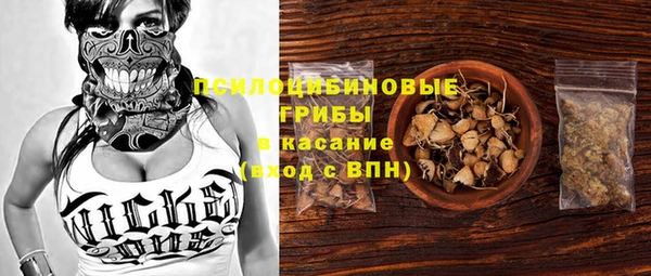 винт Аркадак
