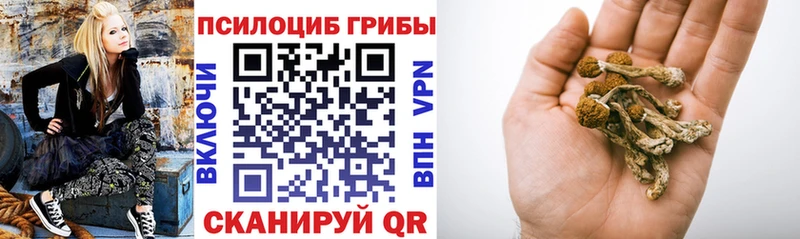 Галлюциногенные грибы ЛСД Грязовец